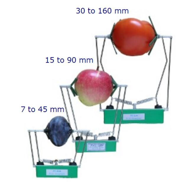 63eb463c844dc.png FI系列果实生长传感器.png